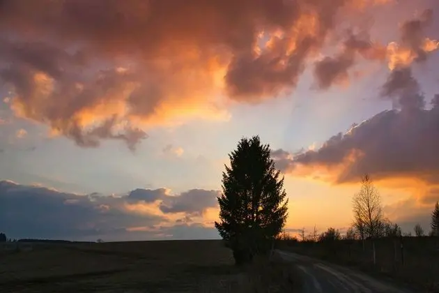 Ev, 2 Yatak Odası, Veranda