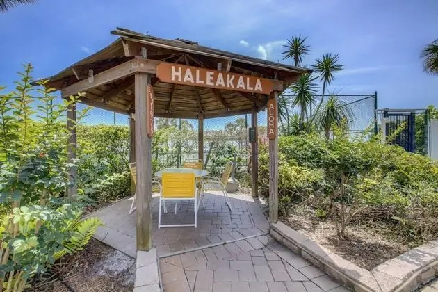 Daire (House of Sun Siesta Key Crescent Beac)