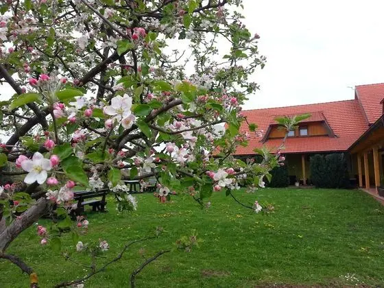 Dört Kişilik Oda, Balkon, Park Manzaralı