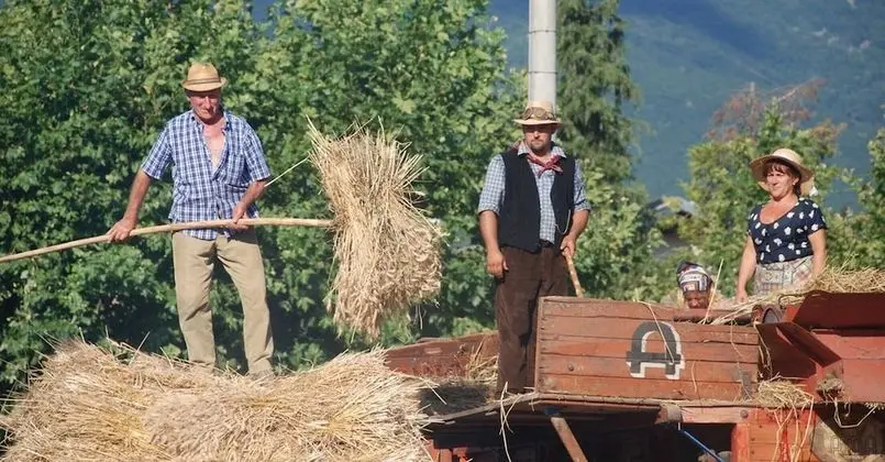 Dağ Evi, 1 Yatak Odası, Balkon
