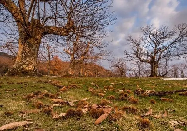 Dağ Evi, 1 Yatak Odası, Balkon