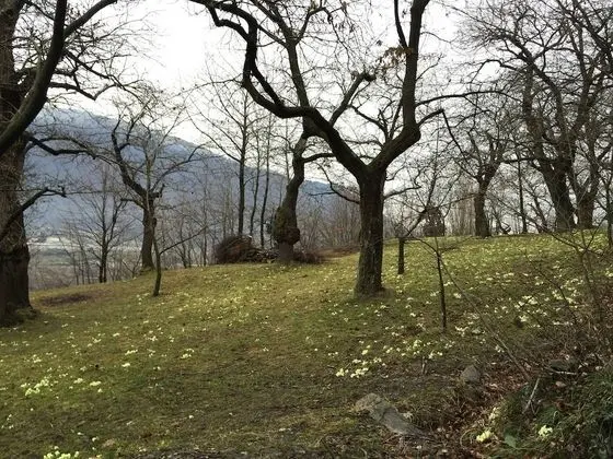 Dağ Evi, 1 Yatak Odası, Balkon