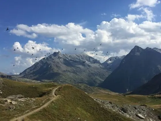 Dağ Evi, 1 Yatak Odası, Balkon