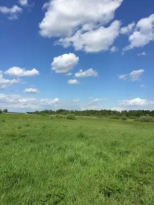 Ev