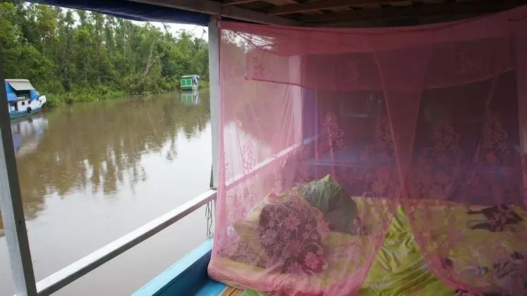 Basic Kulübe, 1 Yatak Odası, Nehir Manzaralı, Deniz Üstü