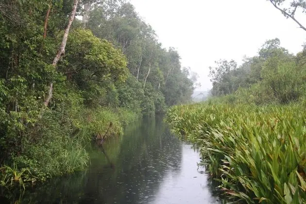 Basic Kulübe, 1 Yatak Odası, Nehir Manzaralı, Deniz Üstü