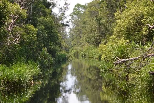 Deluxe Kulübe, 2 Yatak Odası, 2 Banyolu, Nehir Manzaralı