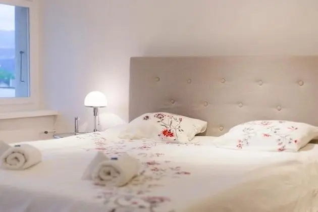 Superior Tek Büyük Yataklı Oda (z6)