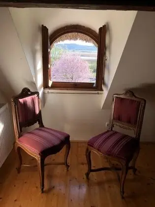 Tek Büyük Yataklı Oda, 1 Büyük (Queen) Boy Yatak, Göl Manzaralı