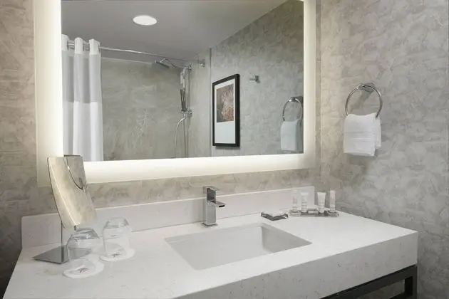 Oda, 1 En Büyük (King) Boy Yatak (Mobility Accessible, Tub)