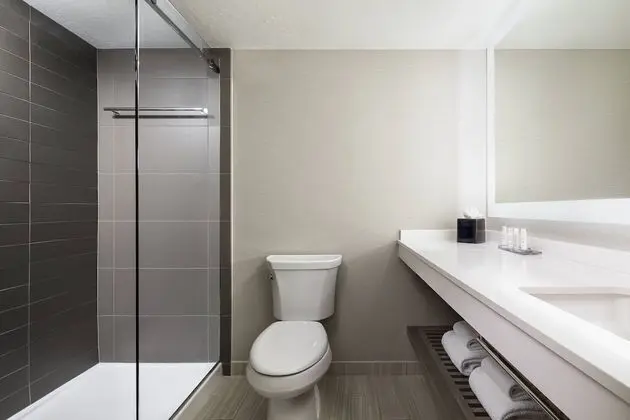 Concierge Room, Club Oda, 1 En Büyük (King) Boy Yatak ve Çekyat