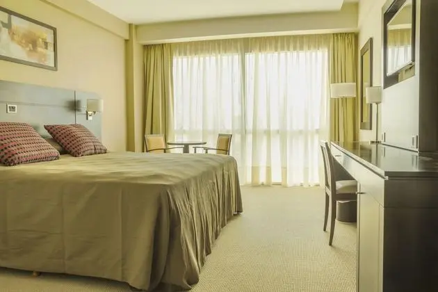 Standard Tek Büyük Yataklı Oda, 1 Çift Kişilik Yatak