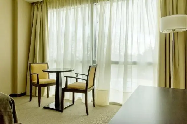 Standard Tek Büyük Yataklı Oda, 1 Çift Kişilik Yatak