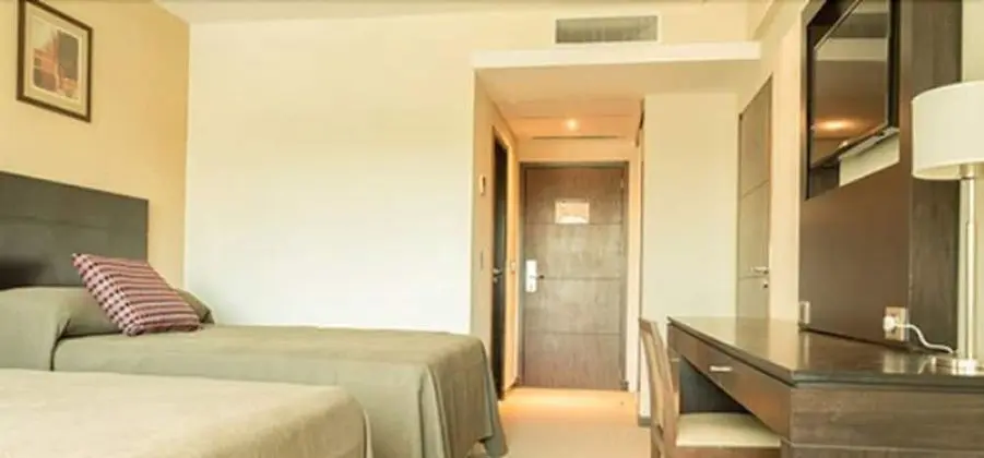 Standard Tek Büyük Yataklı Oda, 2 Büyük (Queen) Boy Yatak