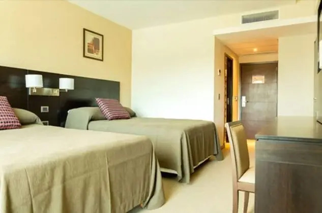 Standard Tek Büyük Yataklı Oda, 2 Büyük (Queen) Boy Yatak