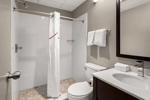 Superior Oda, 1 En Büyük (King) Boy Yatak, Engellilere Uygun, Sigara İçilmez (Roll-In Shower)