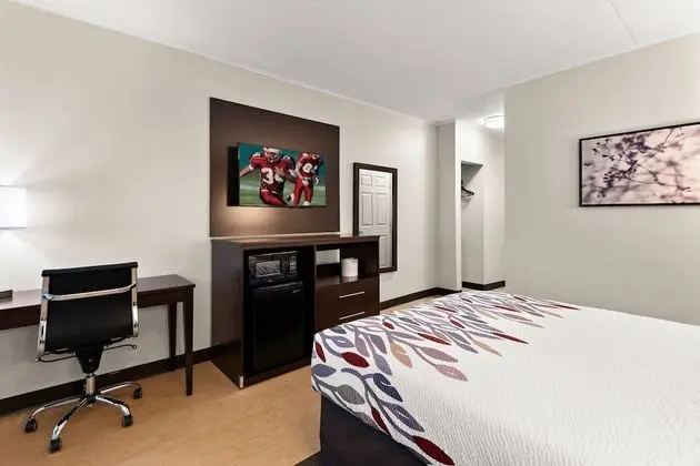 Superior Oda, 1 En Büyük (King) Boy Yatak, Sigara İçilmez