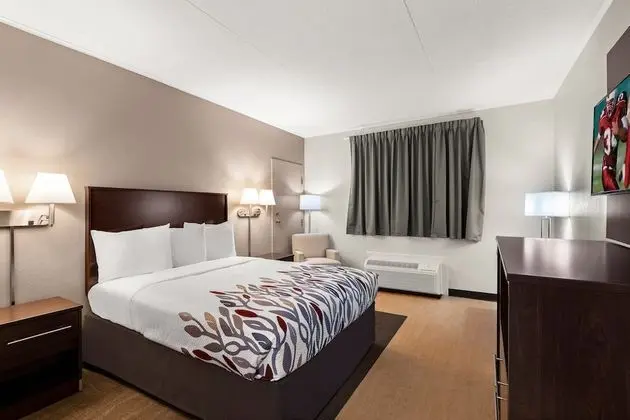 Superior Oda, 1 En Büyük (King) Boy Yatak, Sigara İçilmez, Küçük Mutfak