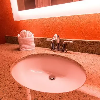 Oda, 1 En Büyük (King) Boy Yatak, Sigara İçilmez