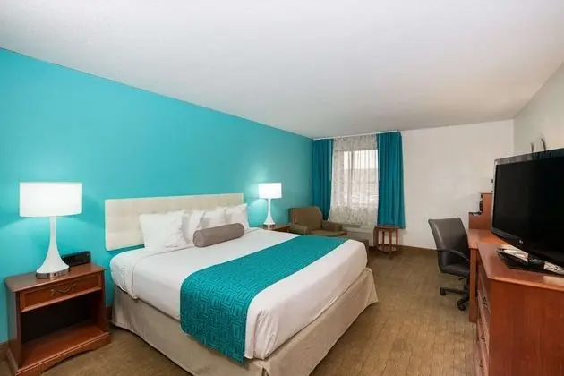 Standard Oda, 1 En Büyük (King) Boy Yatak, Engellilere Uygun, Sigara İçilmez