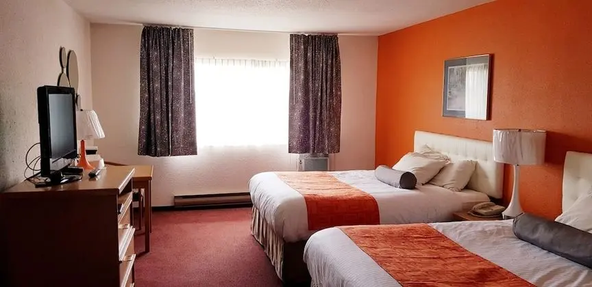 Oda, 2 Büyük (Queen) Boy Yatak, Sigara İçilmez (Pet Friendly)