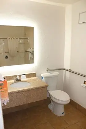 Oda, 1 En Büyük (King) Boy Yatak, Engellilere Uygun, Sigara İçilmez (Mobility Accessible)