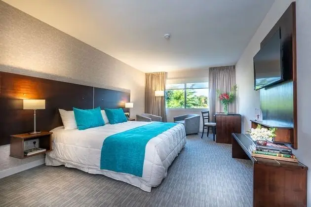 Oda, 1 En Büyük (King) Boy Yatak