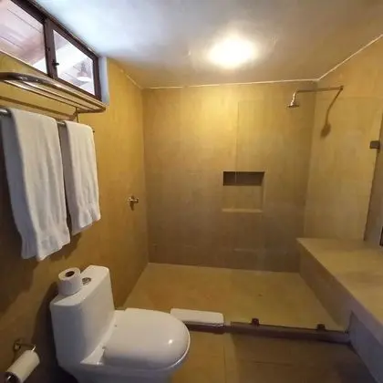 Deluxe Oda, 1 Büyük (Queen) Boy Yatak ve Çekyat, Okyanus Manzaralı