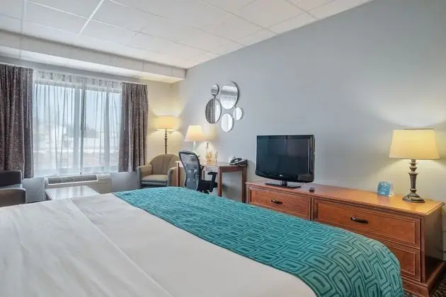 Deluxe Stüdyo Süit, 1 En Büyük (King) Boy Yatak, Sigara İçilmez