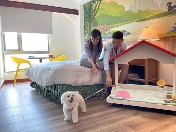 Superior İki Ayrı Yataklı Oda (pet friendly)