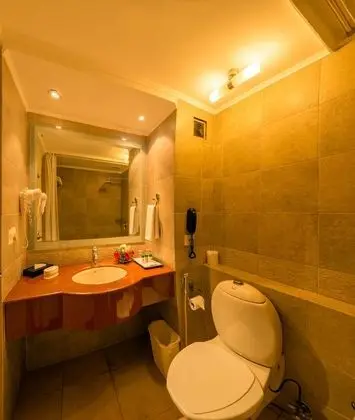 Deluxe Tek Büyük Yataklı Oda