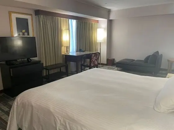 Executive Tek Büyük Yataklı Oda, 1 Büyük (Queen) Boy Yatak