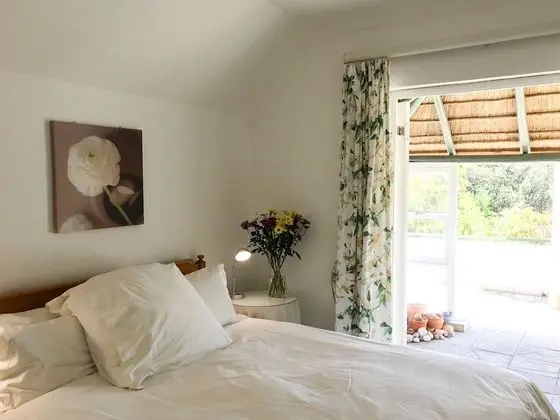 Panoramic Tek Büyük Yataklı Oda, 1 Yatak Odası, Dağ Manzaralı