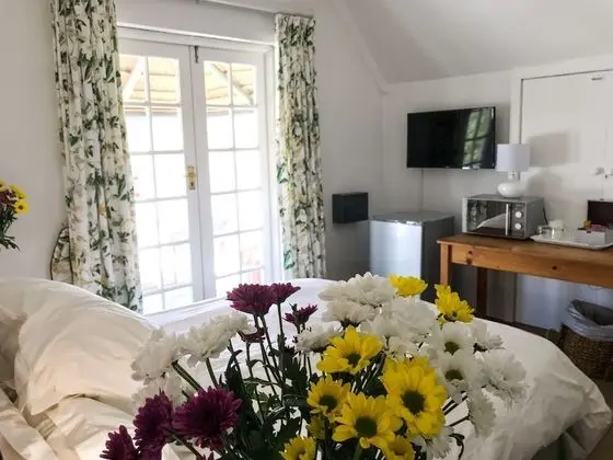 Panoramic Tek Büyük Yataklı Oda, 1 Yatak Odası, Dağ Manzaralı