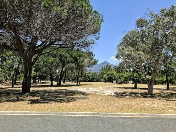 Panoramic Tek Büyük Yataklı Oda, 1 Yatak Odası, Dağ Manzaralı