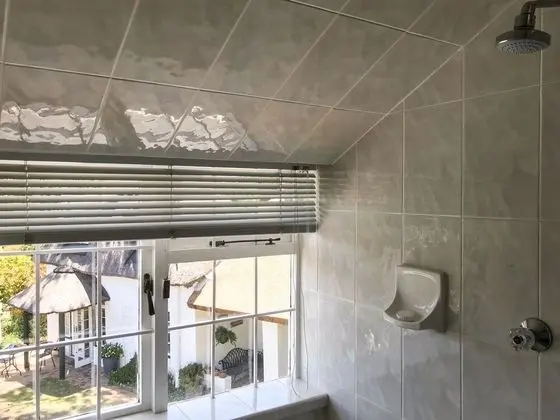 Panoramic Tek Büyük Yataklı Oda, 1 Yatak Odası, Dağ Manzaralı