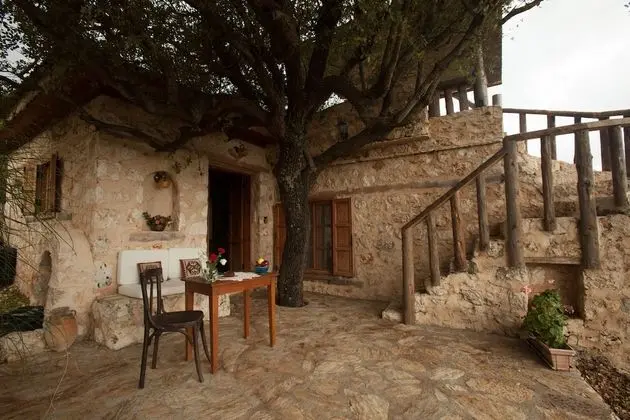 Art Studio With Kitchen