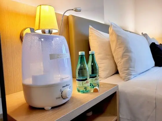 Deluxe Oda, 1 Çift Kişilik Yatak