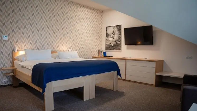 Standard Tek Büyük veya İki Ayrı Yataklı Oda