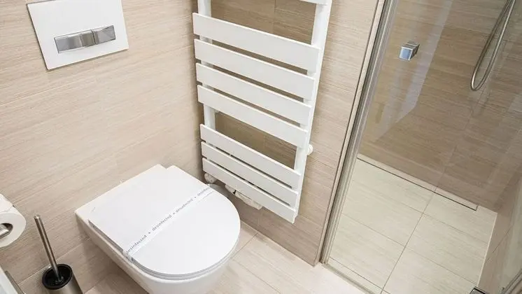 Standard Tek Büyük veya İki Ayrı Yataklı Oda (Chateau view)