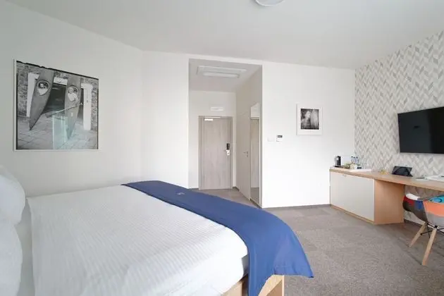 Standard Tek Büyük veya İki Ayrı Yataklı Oda (Chateau view)