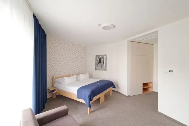 Standard Tek Büyük veya İki Ayrı Yataklı Oda (Chateau view)