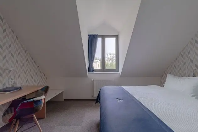 Standard Tek Büyük veya İki Ayrı Yataklı Oda (Chateau view)