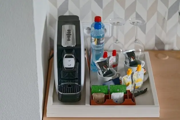 Standard Tek Büyük veya İki Ayrı Yataklı Oda (Chateau view)