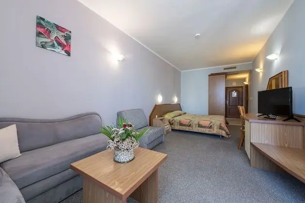 Büyük Yataklı Tek Kişilik Oda, Balkon, Park Manzaralı