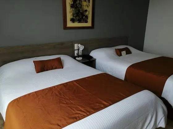 Standard Oda, Sigara İçilmez