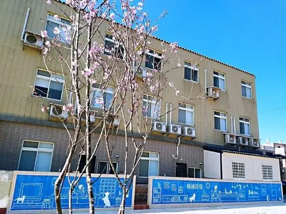 Comfort Tek Büyük veya İki Ayrı Yataklı Oda