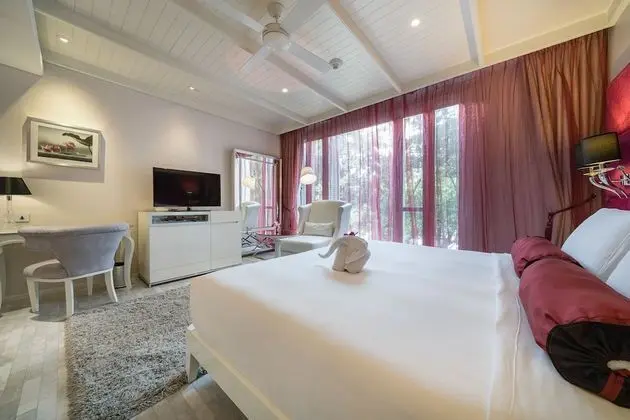 Deluxe Tek Kişilik Oda, Şehir Manzaralı