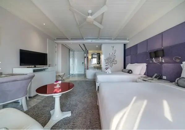 Deluxe Tek Kişilik Oda, Şehir Manzaralı