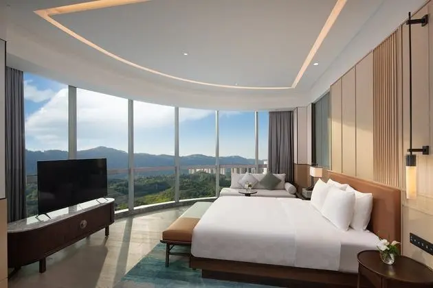 Premium Oda, 1 En Büyük (King) Boy Yatak (Lounge Access)